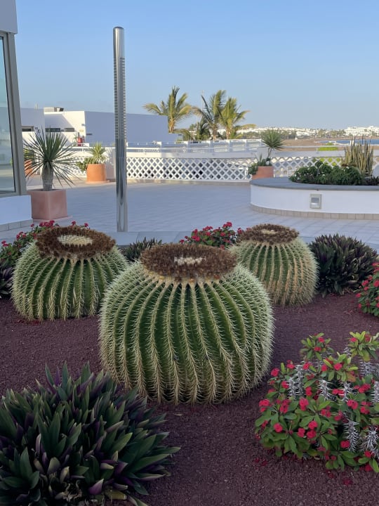 Gartenanlage Hotel Las Costas