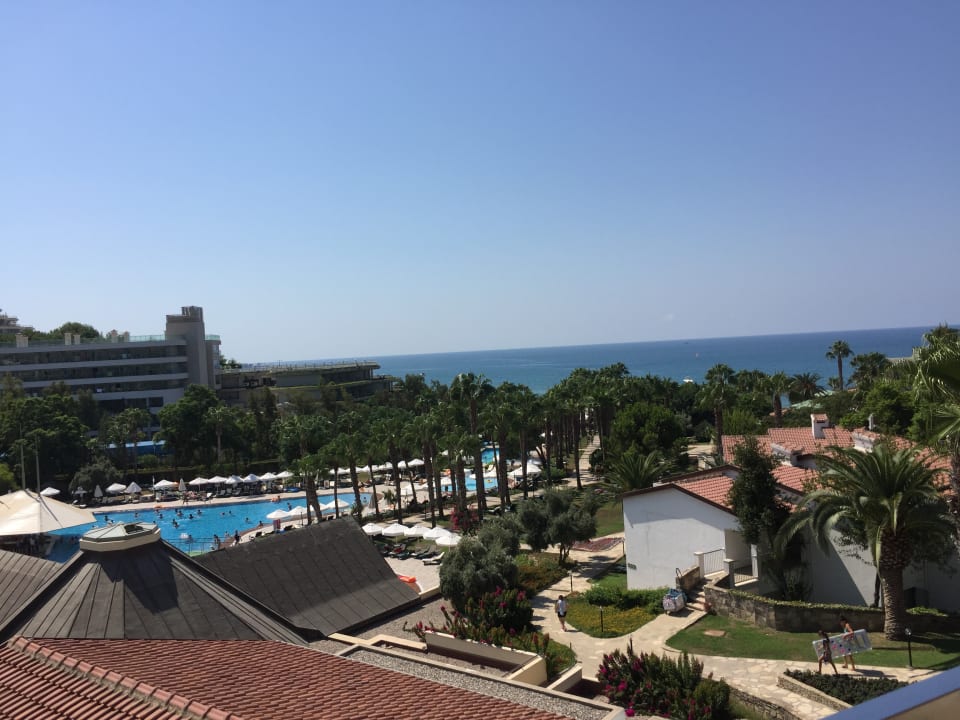Ausblick Arum Barut Collection