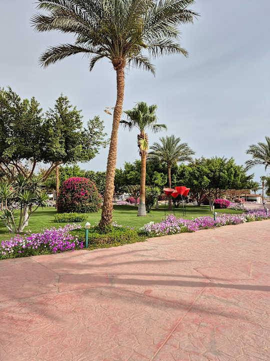 Außenansicht Desert Rose