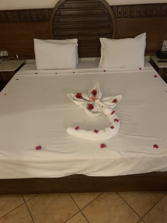 Zimmer Utopia Beach Club