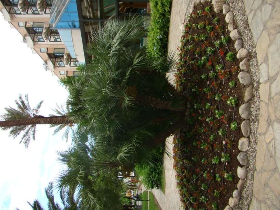 Сквер Limak Limra Hotel & Resort