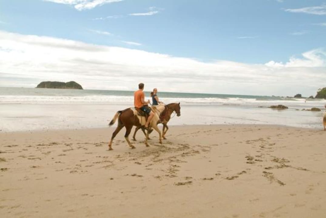 Activities - Hotel La Palapa Ecolodge Resort Hotel La Palapa Ecolodge Resort