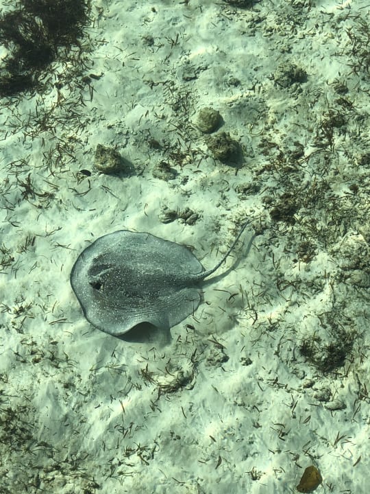 Strand Kuredu Island Resort & Spa