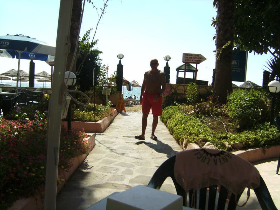 Strandbar Aska Hotel Just in Beach