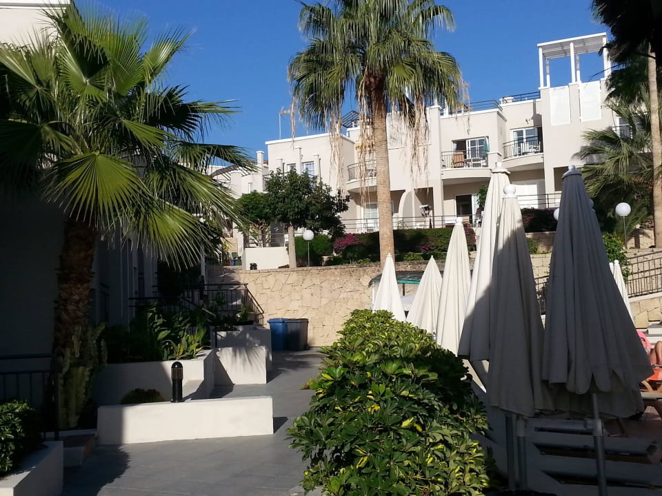 Blick Los Olivos Beach Resort