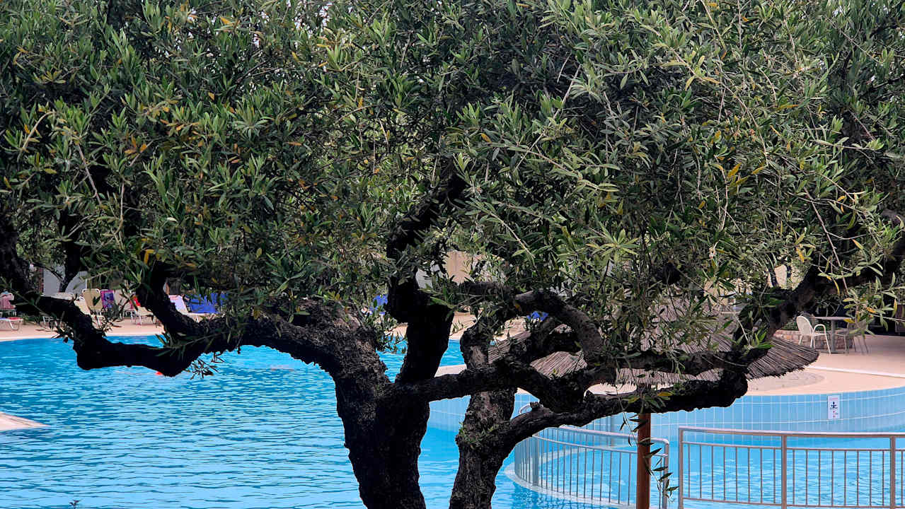 Pool TUI KIDS CLUB Alex Beach