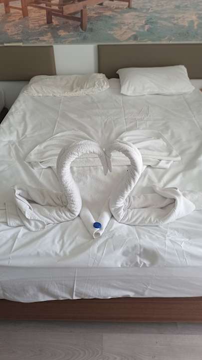 Zimmer Hane Family Resort