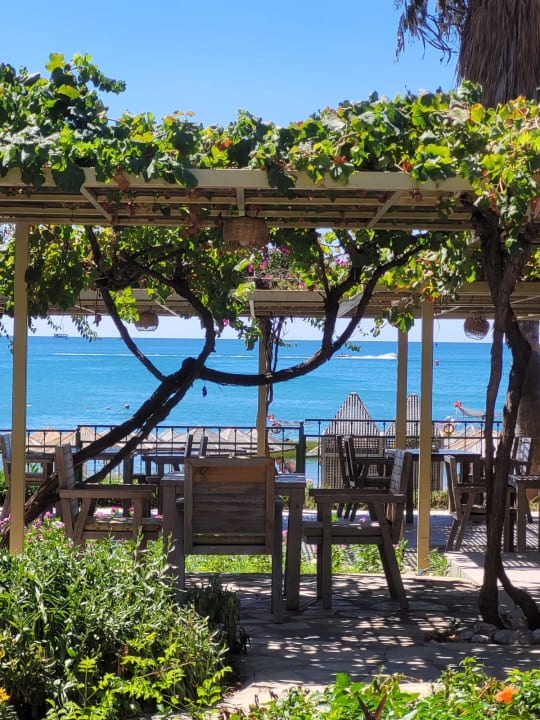 Gastro Hotel Defne Star