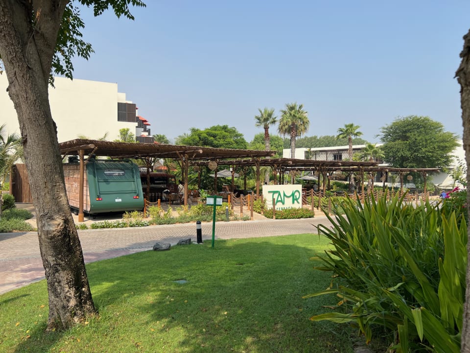 Gartenanlage JA Palm Tree Court