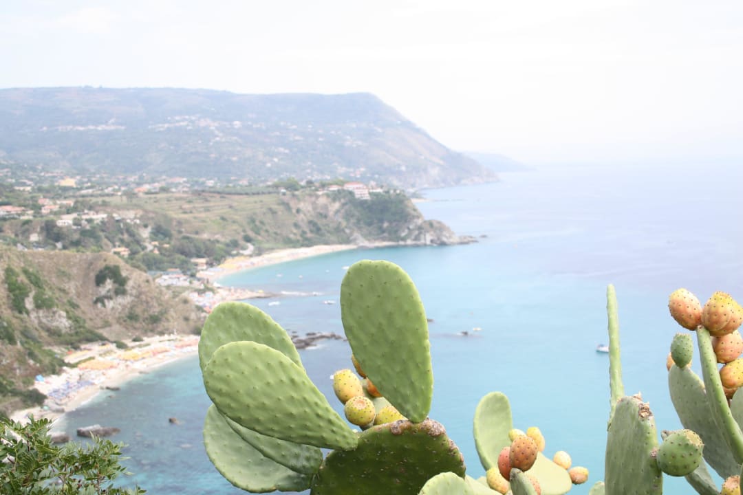 Kakteen! Aldiana Club Rocca Nettuno Calabria