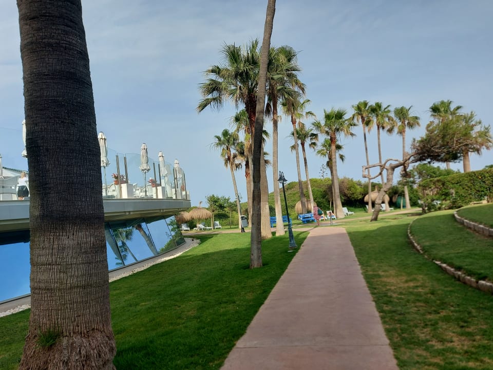 Gartenanlage Playa Esperanza Resort