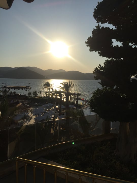 Pool The Plaza Bodrum