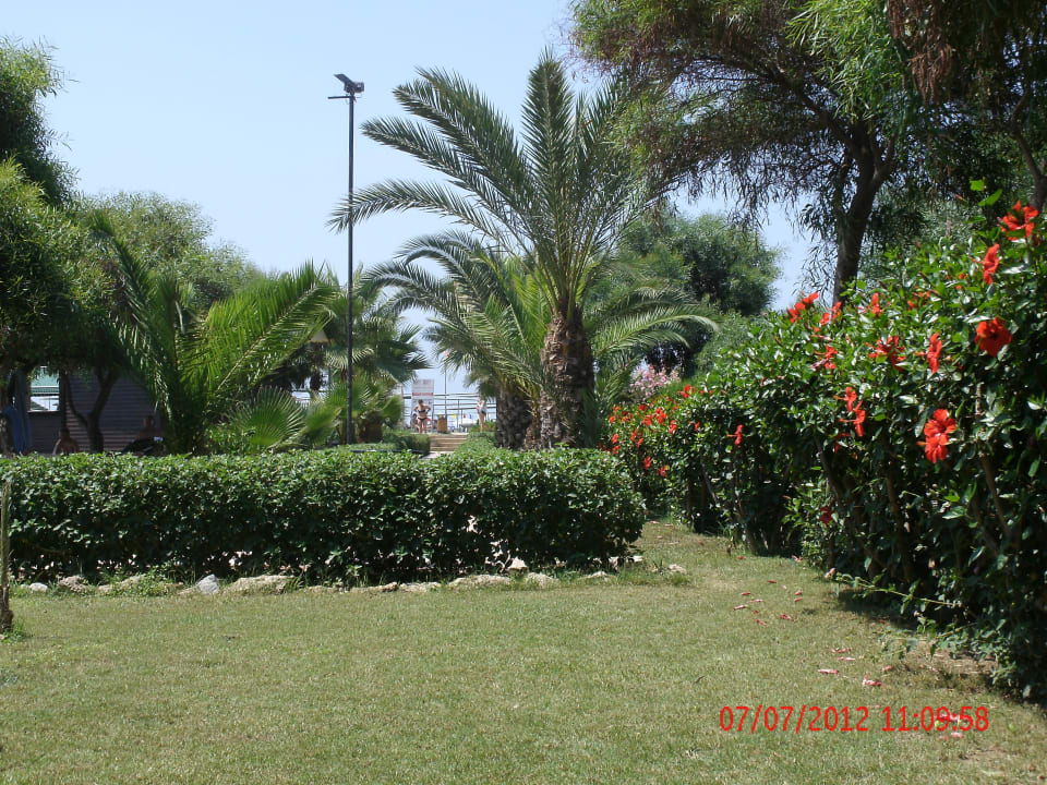 Gartenanlage am Strand Kırbıyık Resort Hotel - Alanya