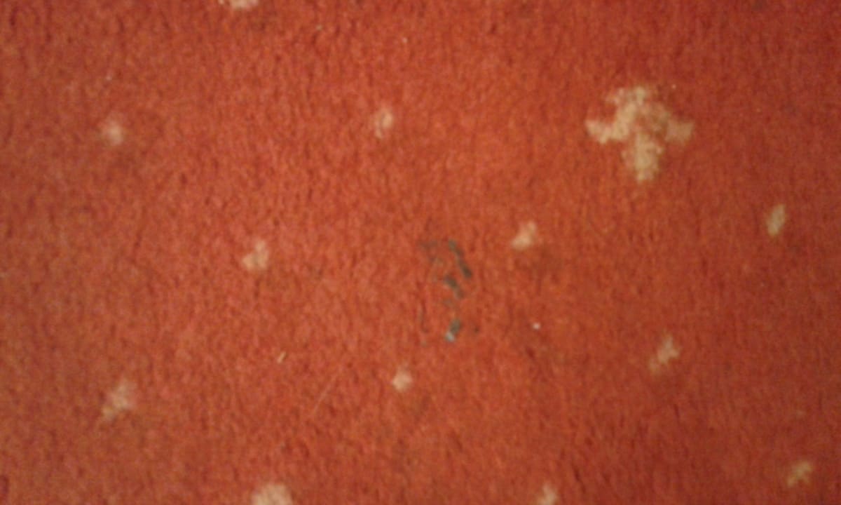 Zimmer Hotel Resonanz Vienna