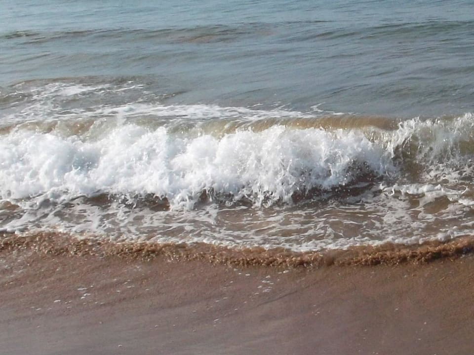 Super Wellen Hotel Orfeus Park