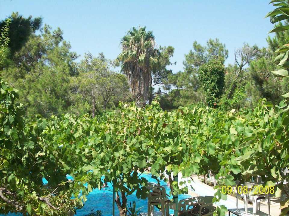 Pool im Marin Hotel Hotel Mari