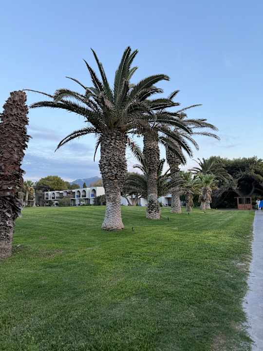 Gartenanlage Caravia Beach Hotel