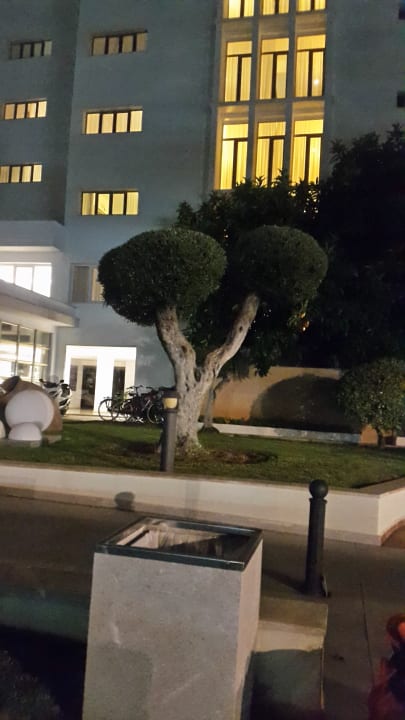 Außenansicht CM Playa del Moro