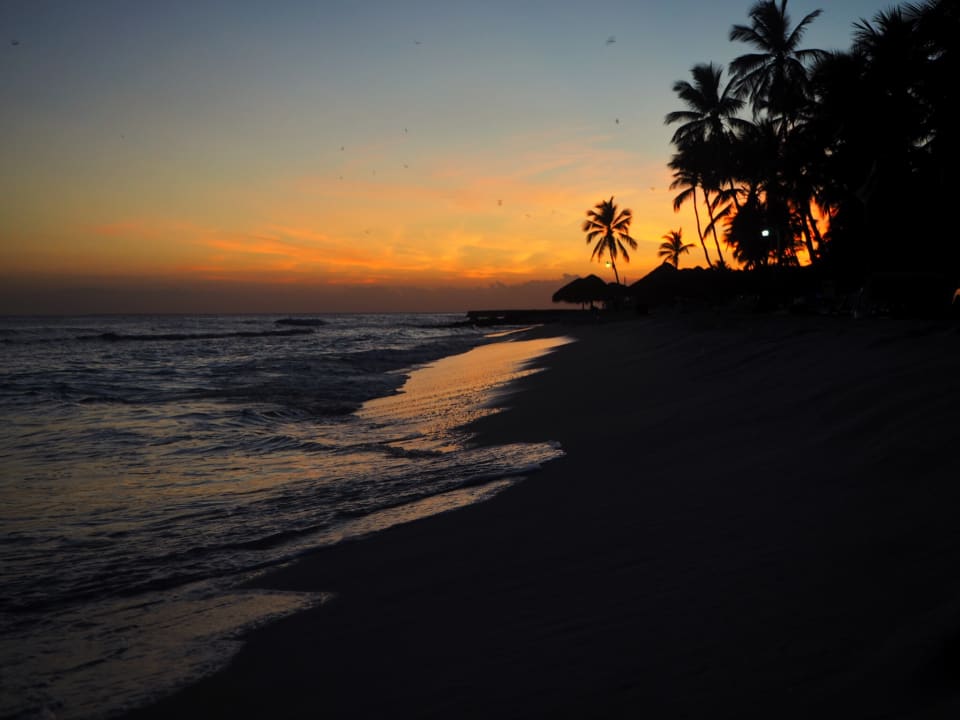 Strand Hotel Viva Dominicus Palace by Wyndham-All Inclusive Resort