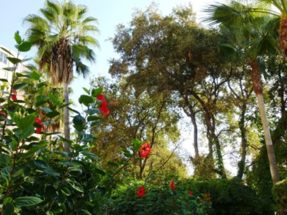 Gartenanlage Melas Resort Hotel