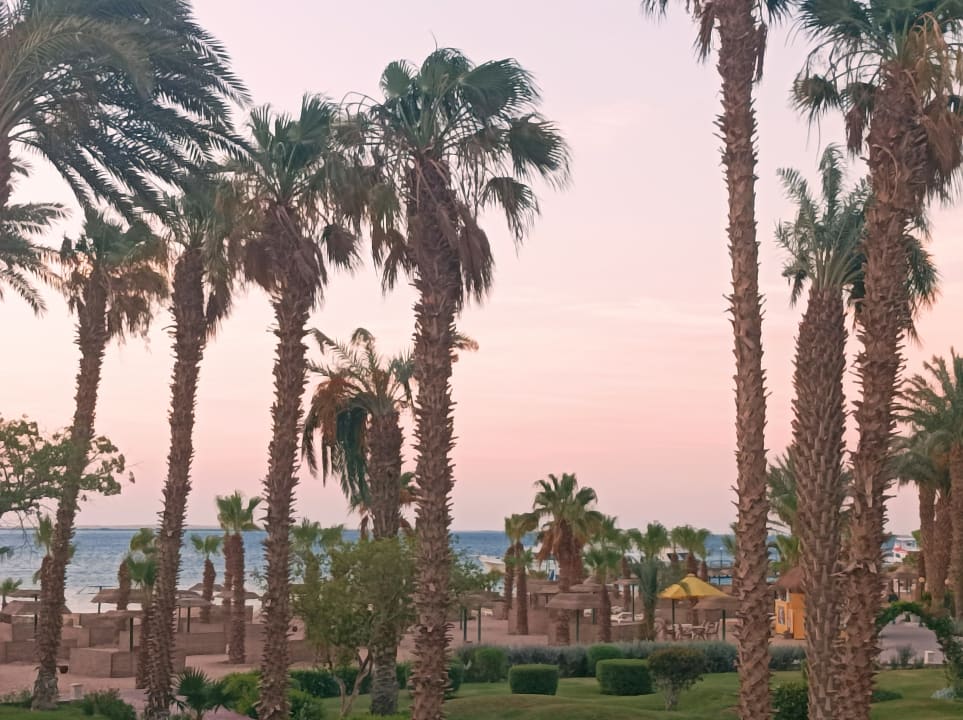 Gartenanlage Lotus Bay Beach Resort