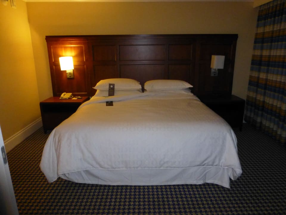 King-Size Bett Hotel Sheraton Suites Key West