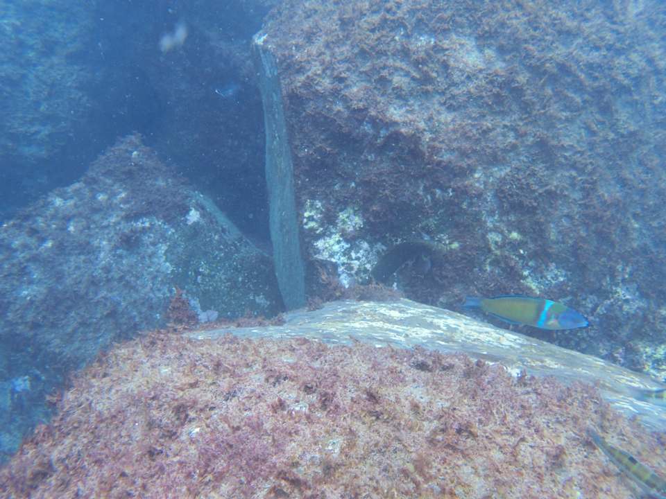 Sport & Freizeit HOVIMA Jardin Caleta