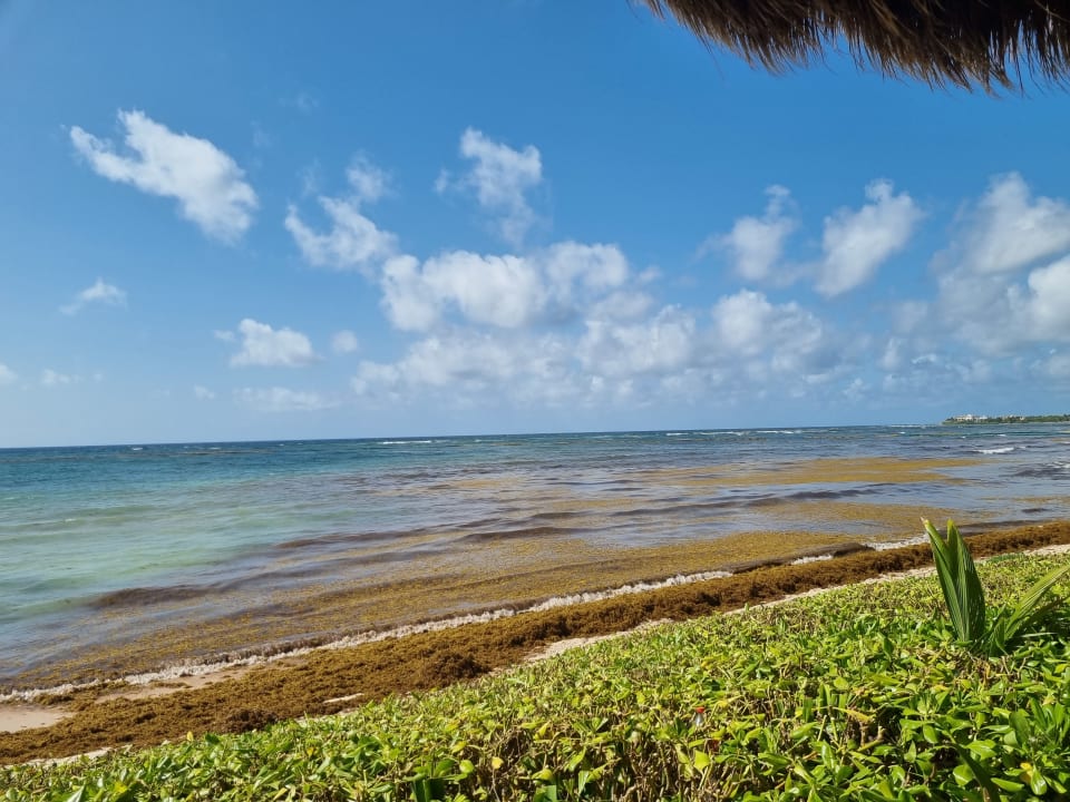 Ausblick Akumal Bay Beach & Wellness Resort