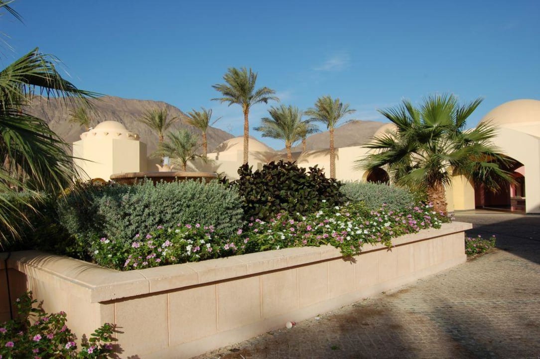 Hotel Mosaique Beach Resort Taba Heights
