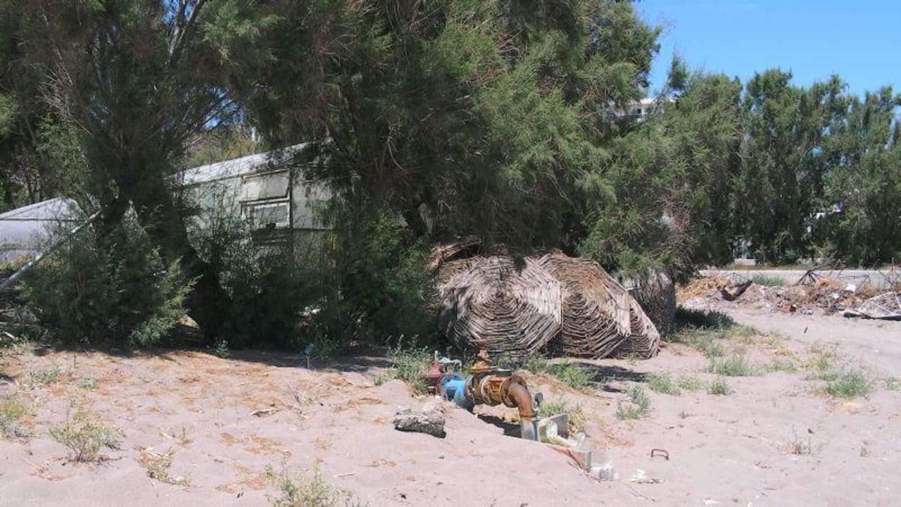 Müll am Strand und neben der Rasenliegefläche Hotel Calypso Beach