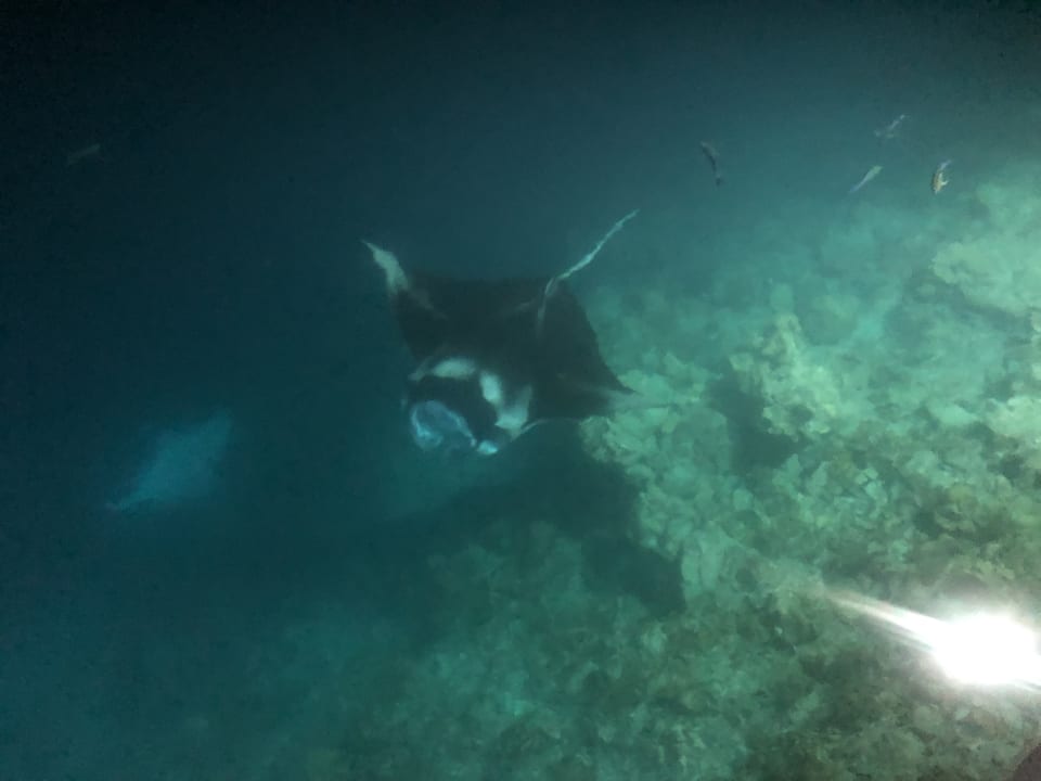 Sport & Freizeit Sun Siyam Olhuveli