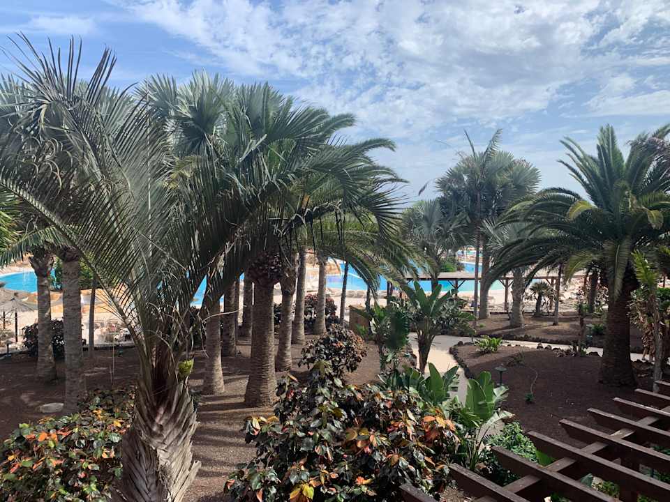 Gartenanlage Sheraton Fuerteventura Golf & Spa Resort
