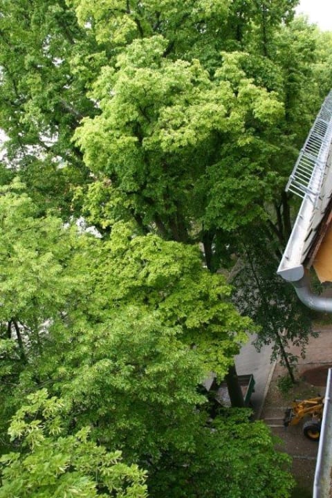 Blick aus dem Zimmerfenster auf die Strasse Hotel Liszt