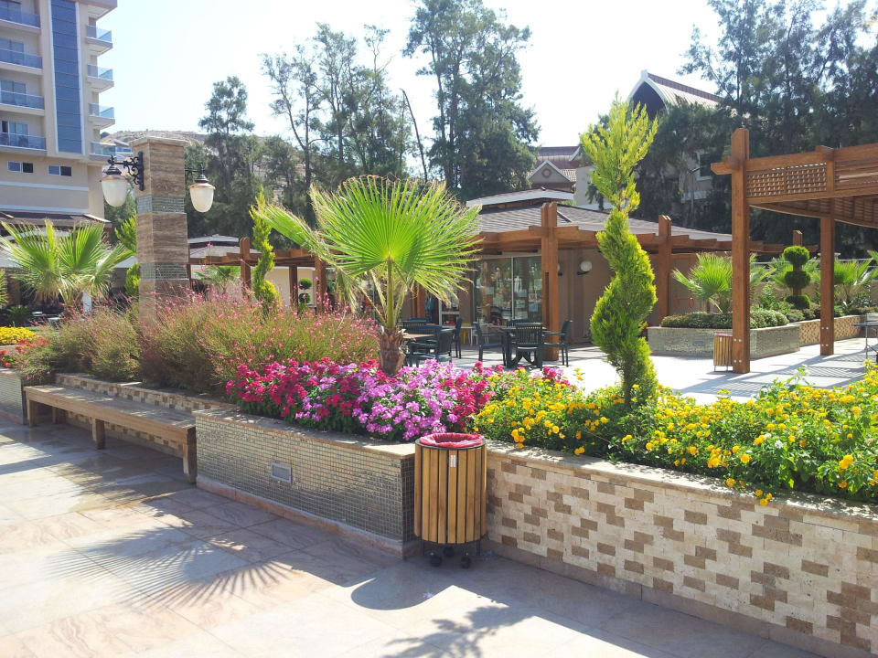 Weg zur Bar Dizalya Palm Garden