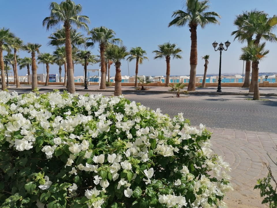 Gartenanlage Kaisol Romance Resort