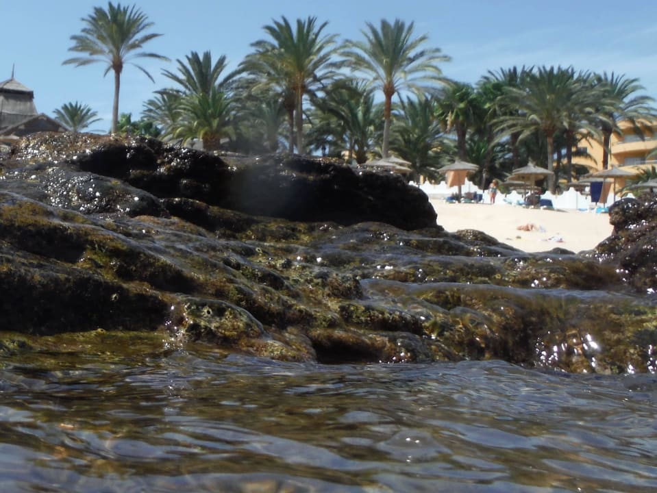 Richtung Hotel  SBH Costa Calma Beach Resort