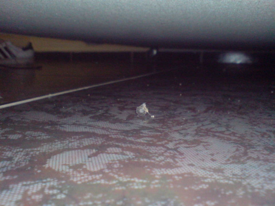 Noch mehr Ungeziefer HARPIN Georgioupolis Resort Aquapark & SPA