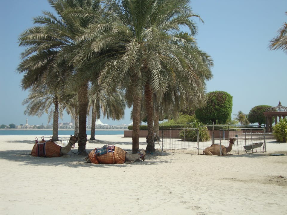 Strand Emirates Palace Mandarin Oriental