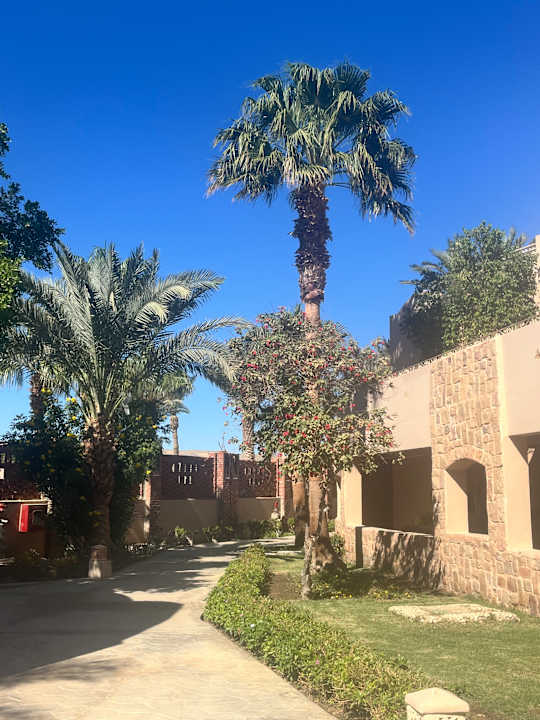 Außenansicht Shams Alam Beach Resort
