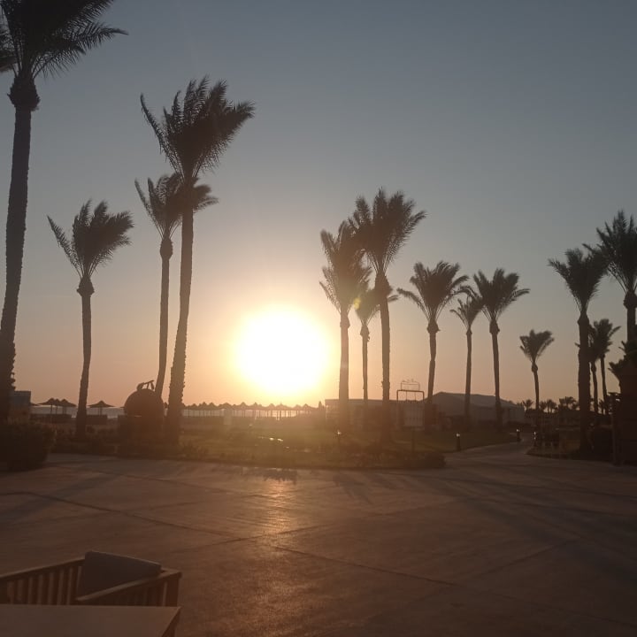 Gartenanlage Stella Beach Resort & Spa Makadi Bay