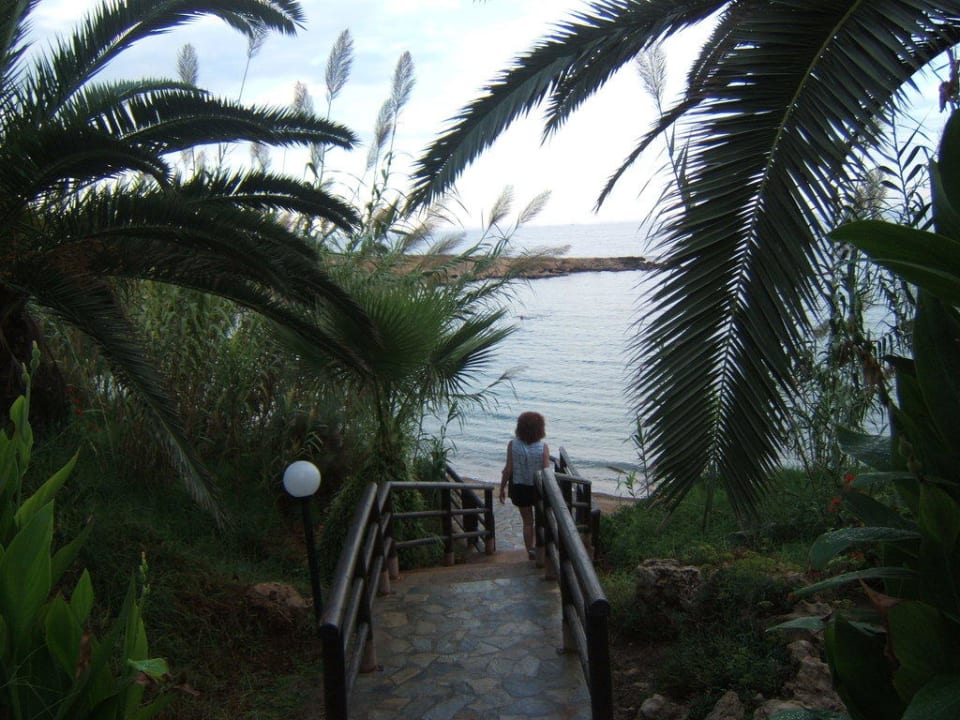 Weg zur Bucht  Crystal Springs Beach Hotel