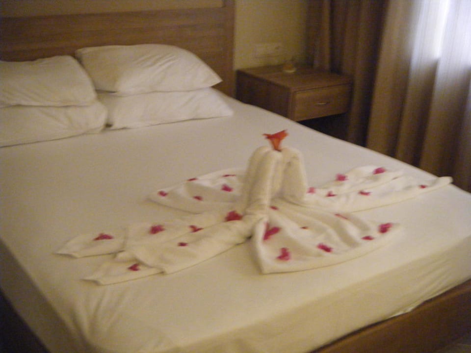 Danke an die kleine Zimmerfee Marvida Family Eco