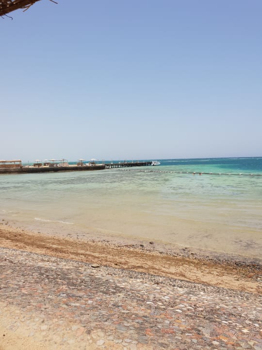 Strand Sea Star Beau Rivage