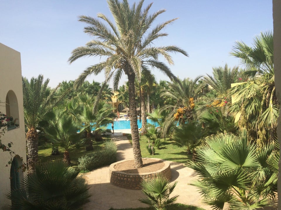 Blick auf Pool The Ksar Djerba Charming Hotel & SPA