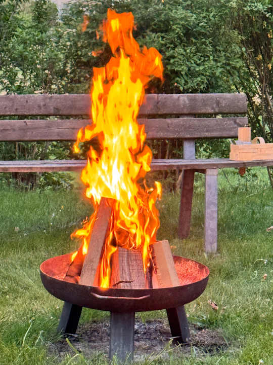 Gartenanlage Spirit & SPA Hotel Birkenhof am Elfenhain