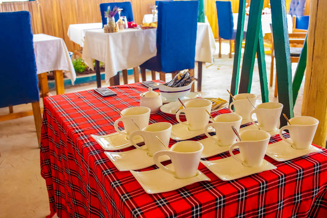 Gastro Little Amanya Camp