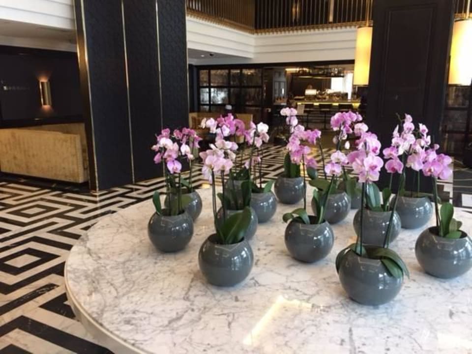 Lobby Hilton Vienna Plaza