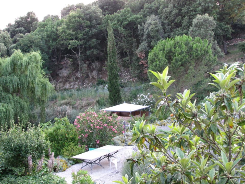 Mediterraner Garten L'Ostello di Rigalloro