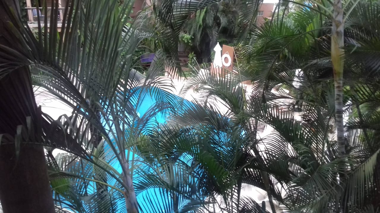 Blick von unserem Balkon Tukan Hotel Playa del Carmen