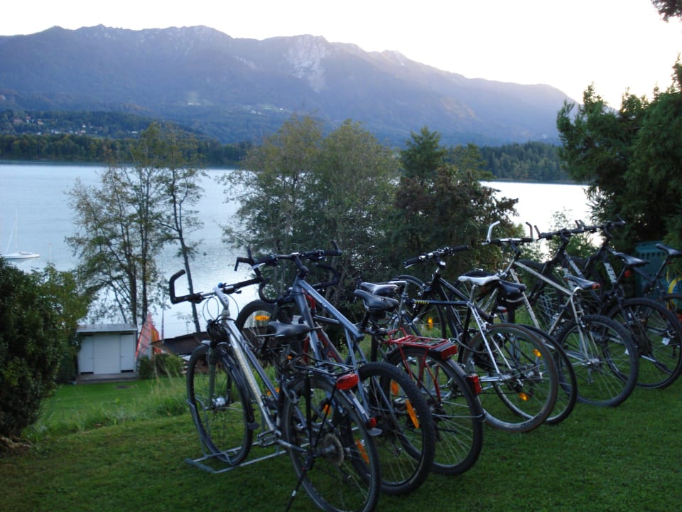 Fahrräder Apartments am See Domenig